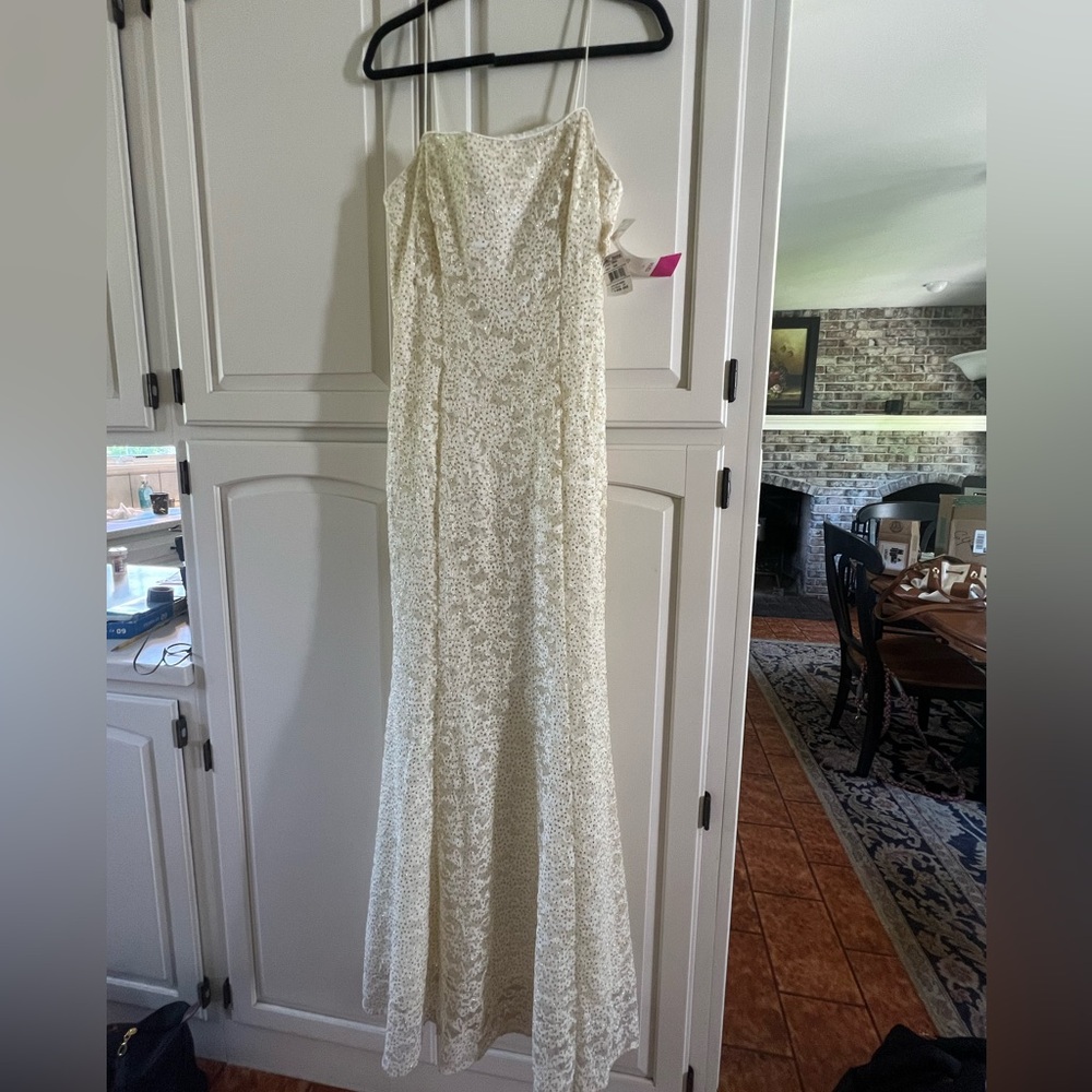 Ivory/Gold Gown